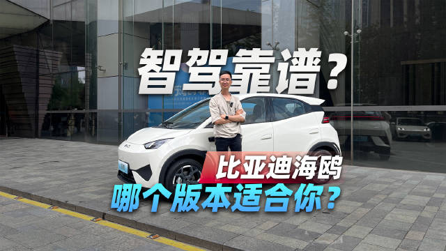 比亚迪海鸥新版本值得买？驾驶是否有廉价感？智驾是否靠谱？