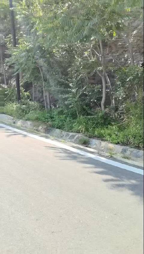 鲶鱼精附体，还是敞篷的，出个考题，有没有小伙伴知道这是啥车？