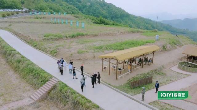 种地吧少年见证青川猎犬智斗野猪全过程