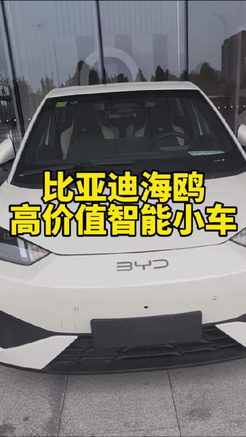 比亚迪海鸥高价值智能小车