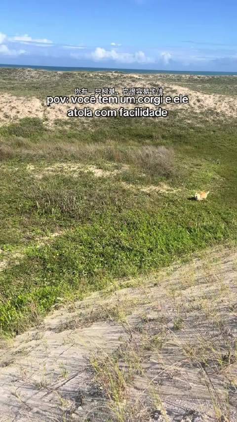 就算是4驱又如何，底盘低是硬伤