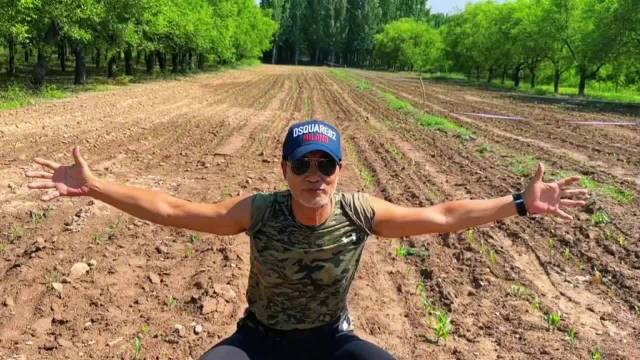 70岁任达华回山东老家种玉米