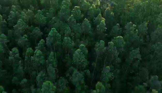 别克携百万级逍遥架构回归，定义新能源豪华轿车新标准