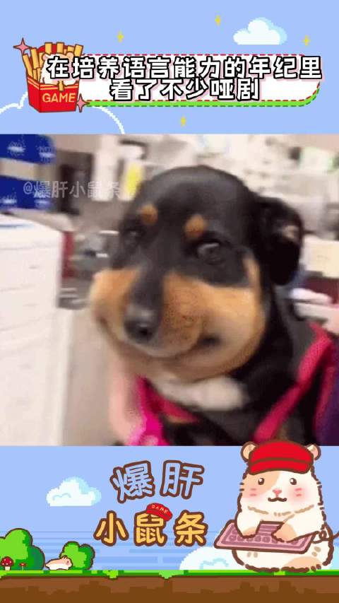 怪不得我不会说话但会看眼色呢 儿童益智 猫和老鼠 憨豆先生