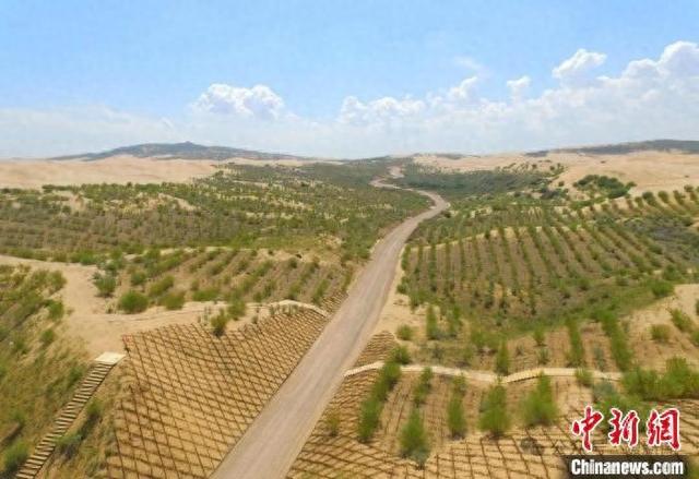 入夏,披上绿装的库布其沙漠。(资料图) 李欢倪供图