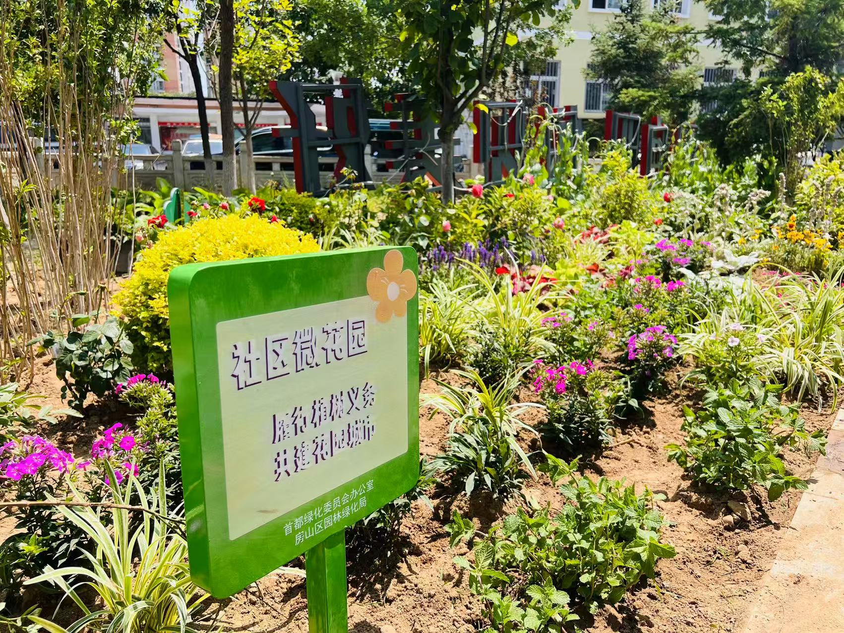 7月8日,房山區向陽街道富燕新村第二社區微花園建設完成並投入使用。房山區園林綠化局供圖