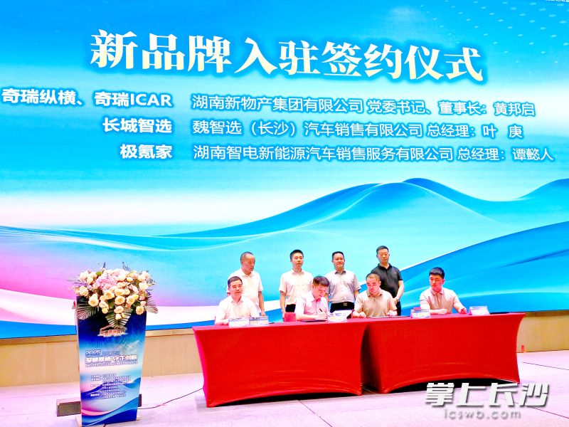 中南汽车世界新能源品牌占长沙市的93%