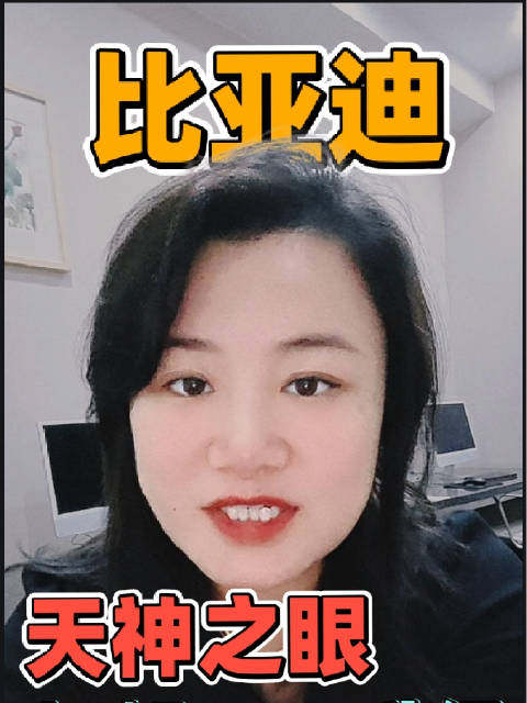 比亚迪天神之眼5个月完成最大规模智驾OTA升级