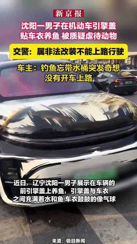 沈阳一男子车辆引擎盖贴车衣养鱼，交警称属非法改装