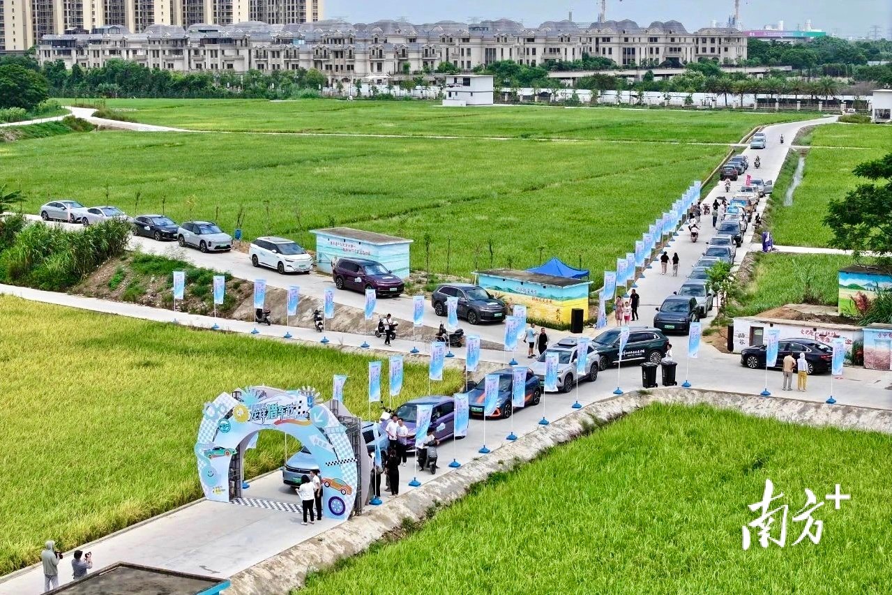 千亩良田变新车秀场，第二届龙祥“猎车节”启幕