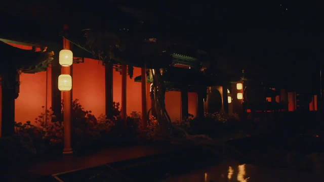 张凯毅怀孕引关注，未出生已成网红