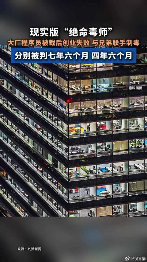 大厂程序员上演现实版绝命毒师获刑