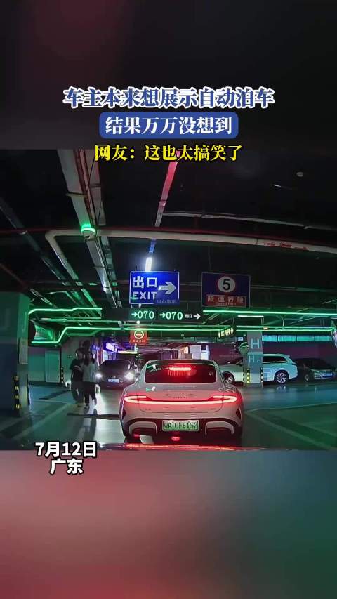 车主本来想展示自动泊车，结果万万没想到，网友：这也太搞笑了！