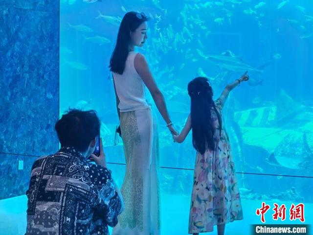 7月11日,海南三亚,亲子家庭游客在三亚·亚特兰蒂斯观赏海洋生物。王雯 摄