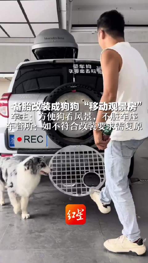 车主将备胎改装成狗狗移动观景房 车主：方便狗看风景，不脏车座 车管所：如不符合改装要求需复原
