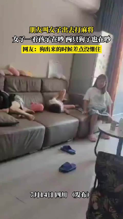 女子因孩子与狗吵闹无法赴麻将局