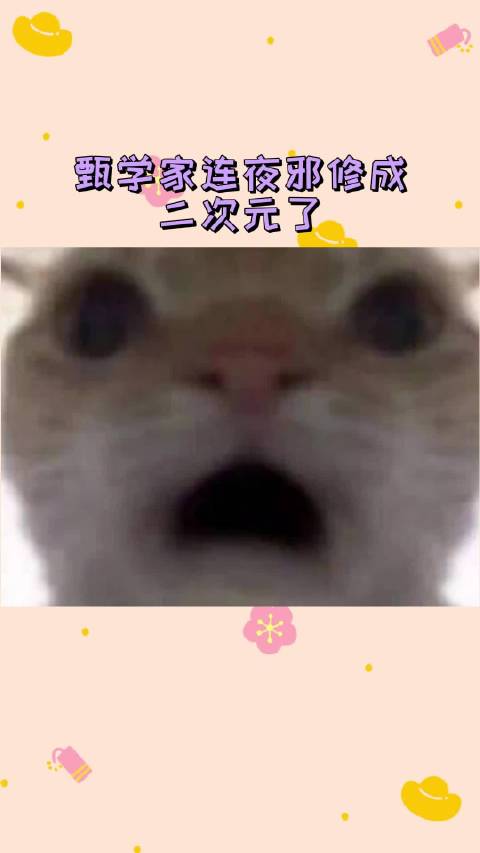 甄嬛传粉丝跨圈联动二次元剧集