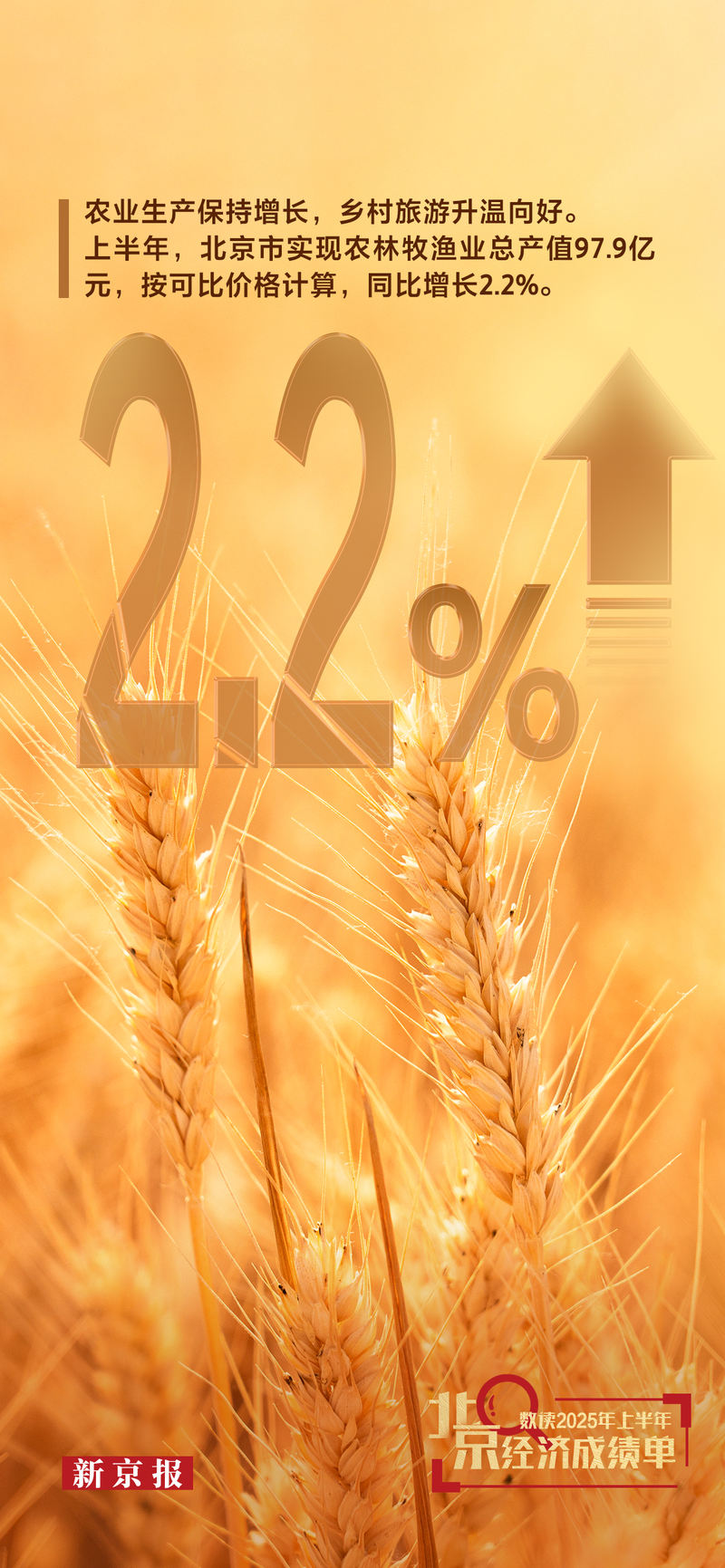 图片来源:ICphoto、新京报