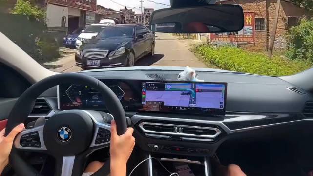 视频车没有让宝马哥！网友敬他是条汉 子