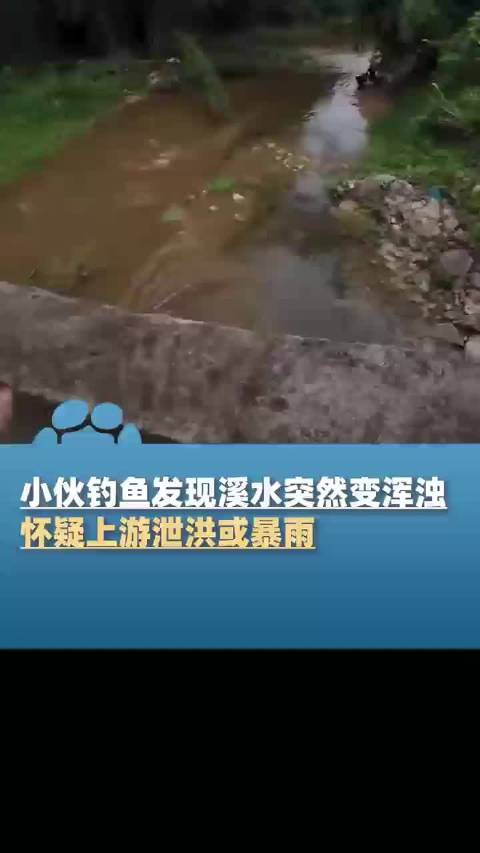 小伙见水变浑迅速提醒救下露营家庭 “淹到他们露营车仅2分钟”