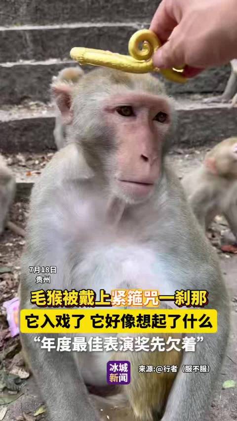 7月18日，趣闻猴子大话西游孙悟空