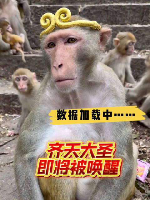 齐天大圣将戴金箍回归，周云超报道唤醒经典