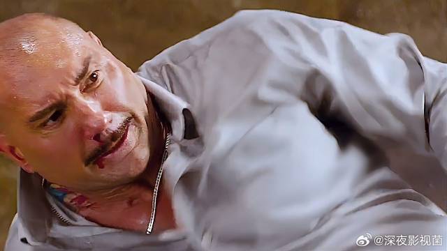 张天志为兄弟武痴林报仇，再次使用咏春，暴打老外