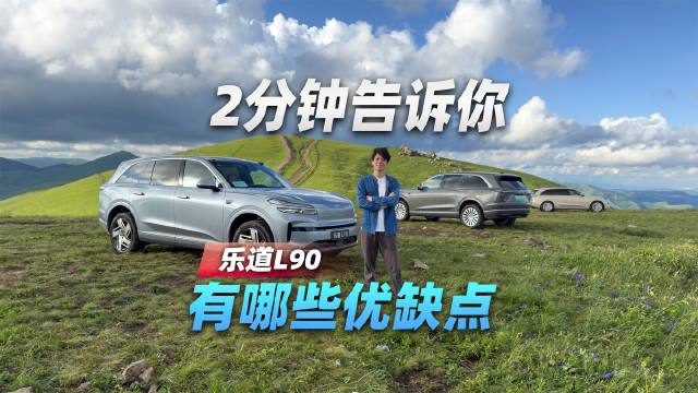 2分钟告诉你，乐道L90有哪些优缺点
