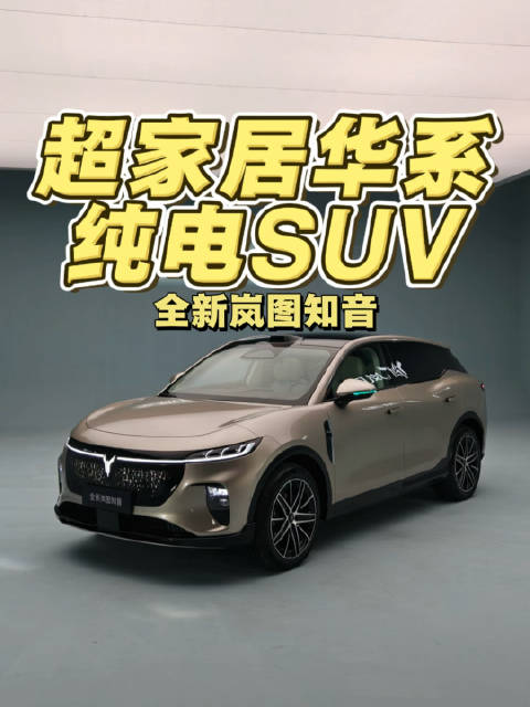 超家居华系纯电SUV 全新岚图知音