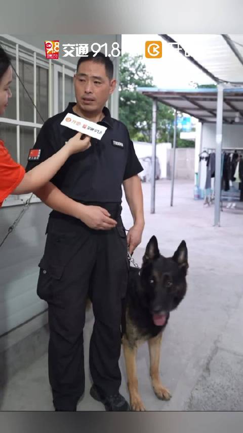 杭州地铁警犬“黑豹”亮相！这样的沉稳酷“狗”你喜欢吗？