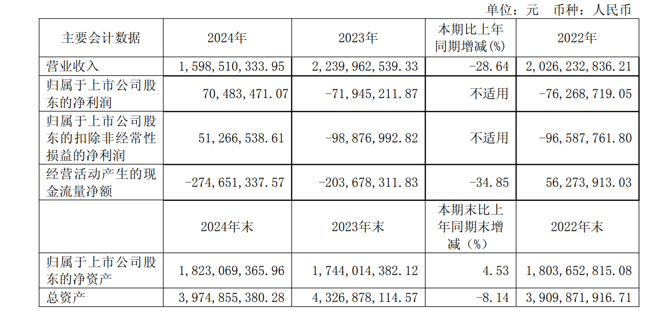 *ST蘇吳2024年年報截圖。