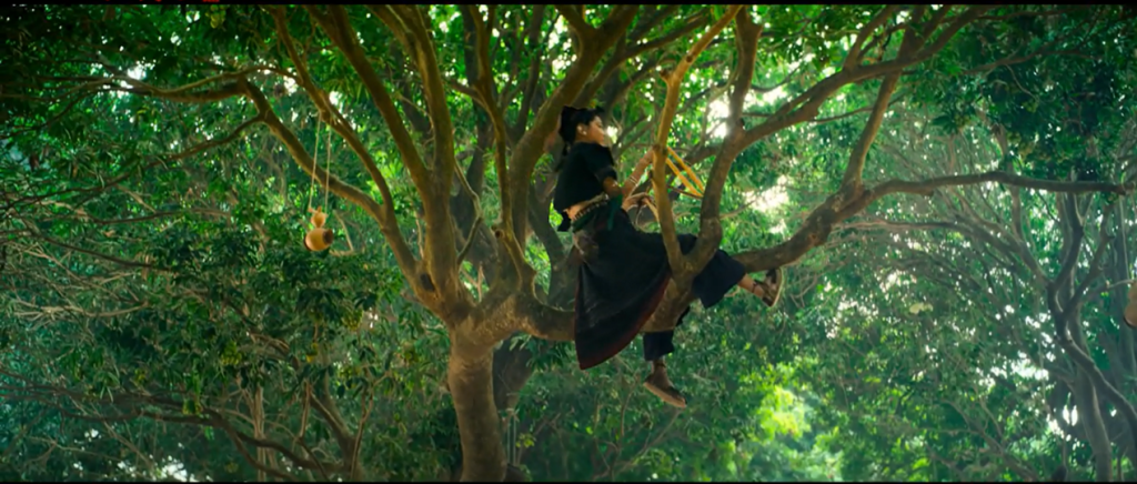 荔枝园中上下翻飞的侗女阿僮