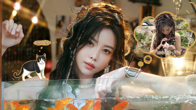 于文文演唱会现场施展三秒哄睡法征服警长猫