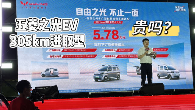 五菱之光EV 305km进取型