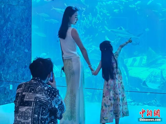 三亚·亚特兰蒂斯水族馆内,孩子们兴奋地贴着玻璃,好奇地观察游弋的鱼群。王雯 摄