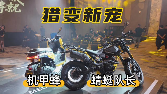 猎变发布机甲蜂、蜻蜓队长两款新车型