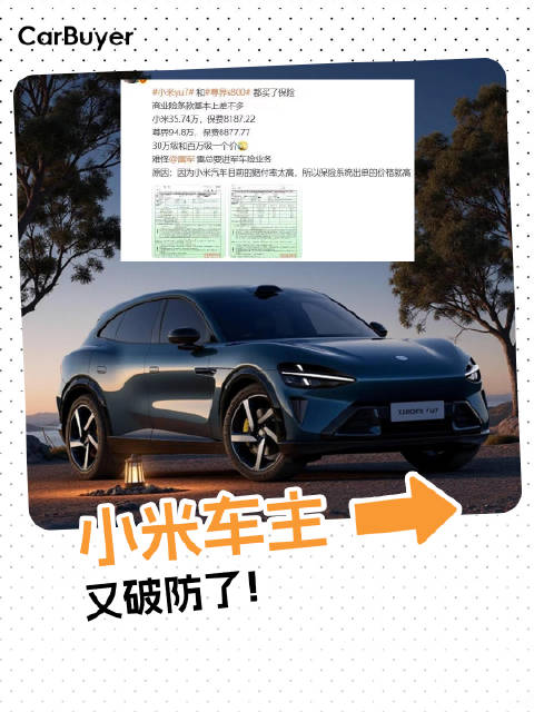 小米YU7和百万豪车保险费差不多，这合理吗？