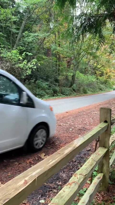 日产NV200盲窗版改装露营车获海外车主青睐