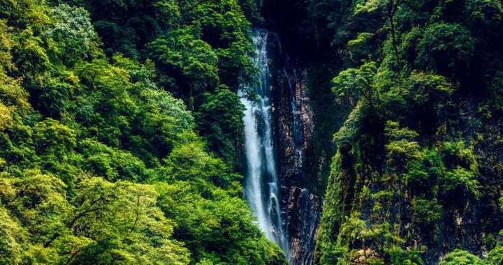 墨脱：藏在云雾里的莲花秘境，这里有地球的千百种模样