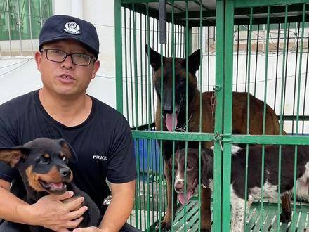 小黑豹与巴万巴顿巴仟相见，期待蜕变为出色警犬