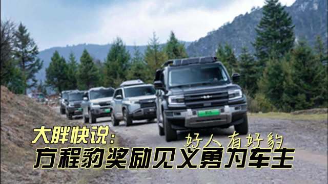 方程豹奖励见义勇为车主，硬核安全筑生命防线