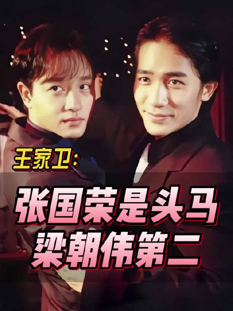 张国荣 是领头的马，梁朝伟是第二的马，四味毒叔春光乍泄