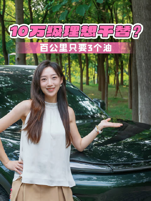 轴距近2米8 百公里3个油 彩电大沙发配齐 才10万价位的还看啥理想？