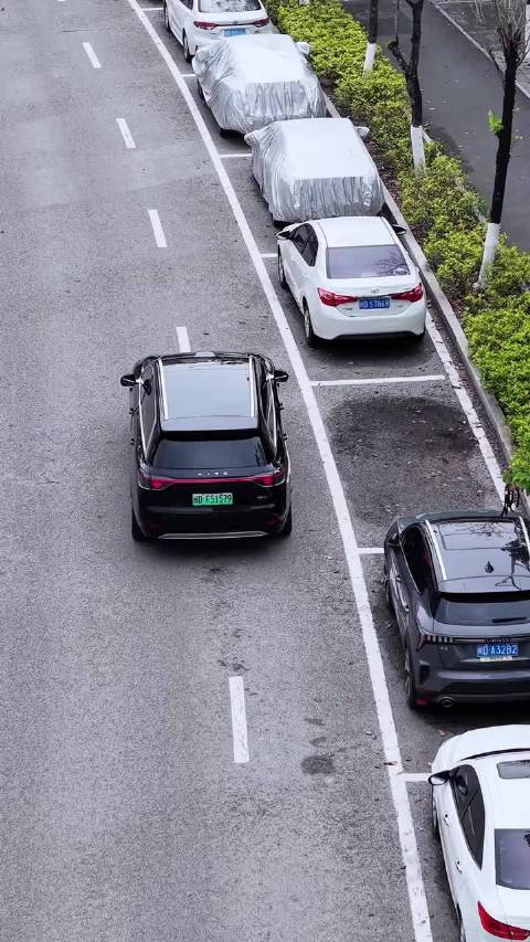 自动泊车有多丝滑？ 熟练的像个老司机