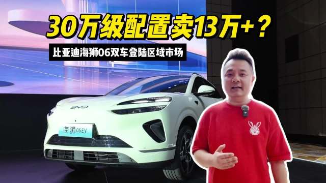 30万级配置卖13万+？比亚迪海狮06双车登陆区域市场
