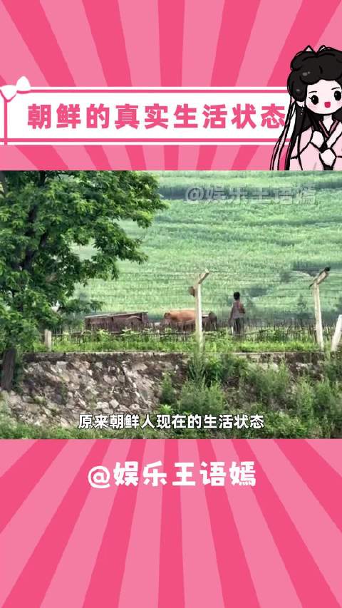 朝鲜就是现实版楚门的世界吧