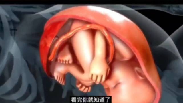 27岁孕妈分娩全记录，3D动画详解破水到生产三阶段