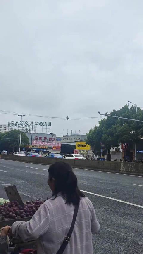 《碟中谍：猩球崛起》