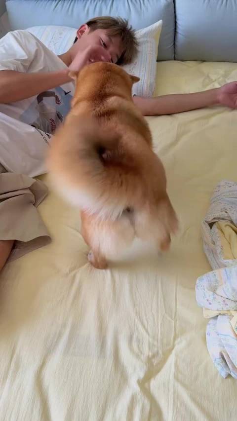 家里边养的是狗吗？