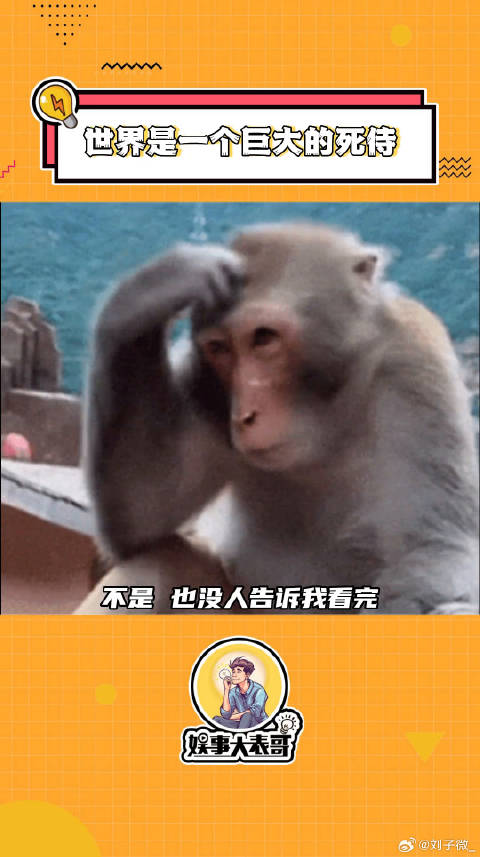 被死侍与金刚狼配色洗脑